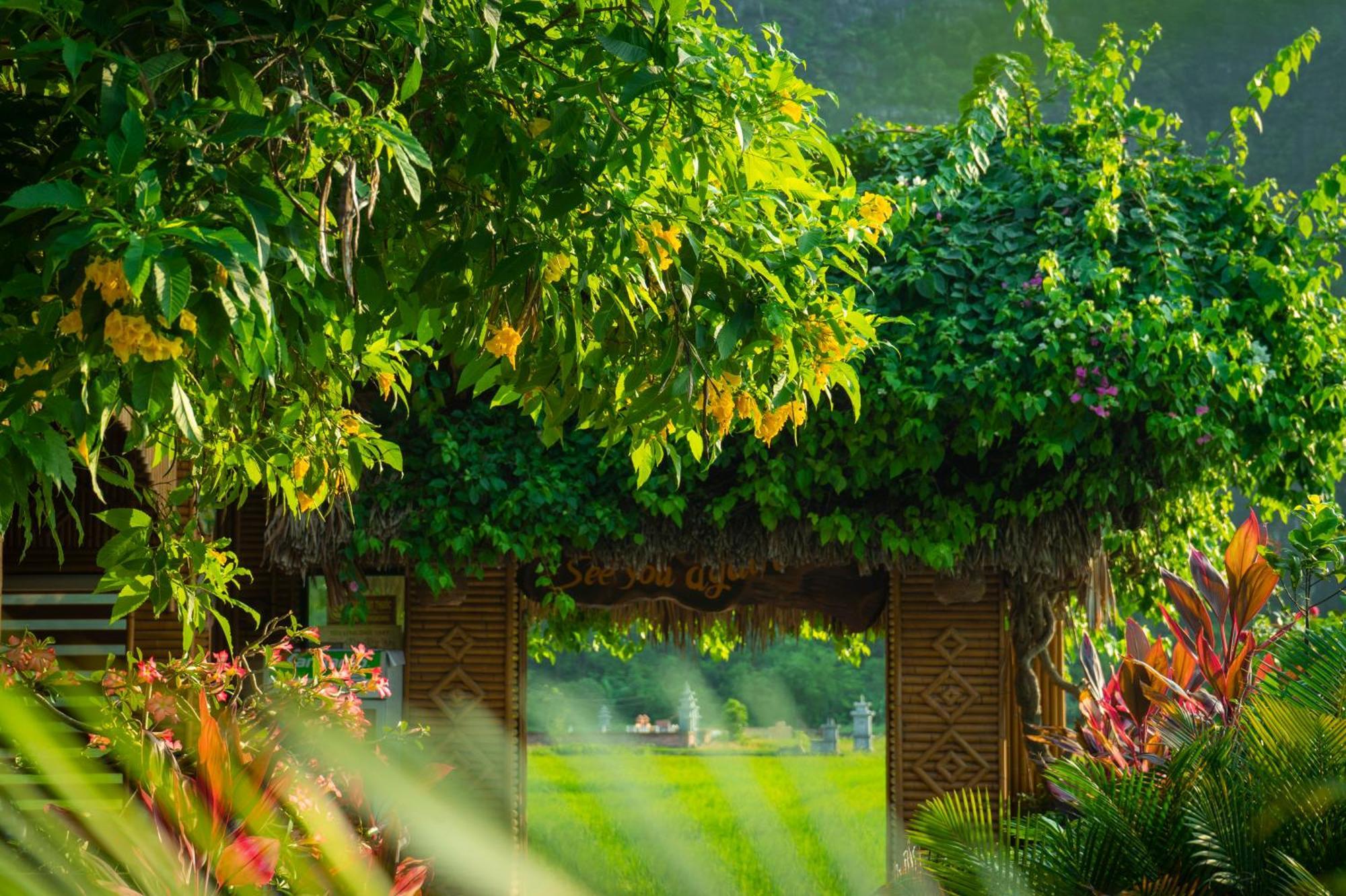 Tam Coc Minh Hung Homestay Ninh Bình Extérieur photo