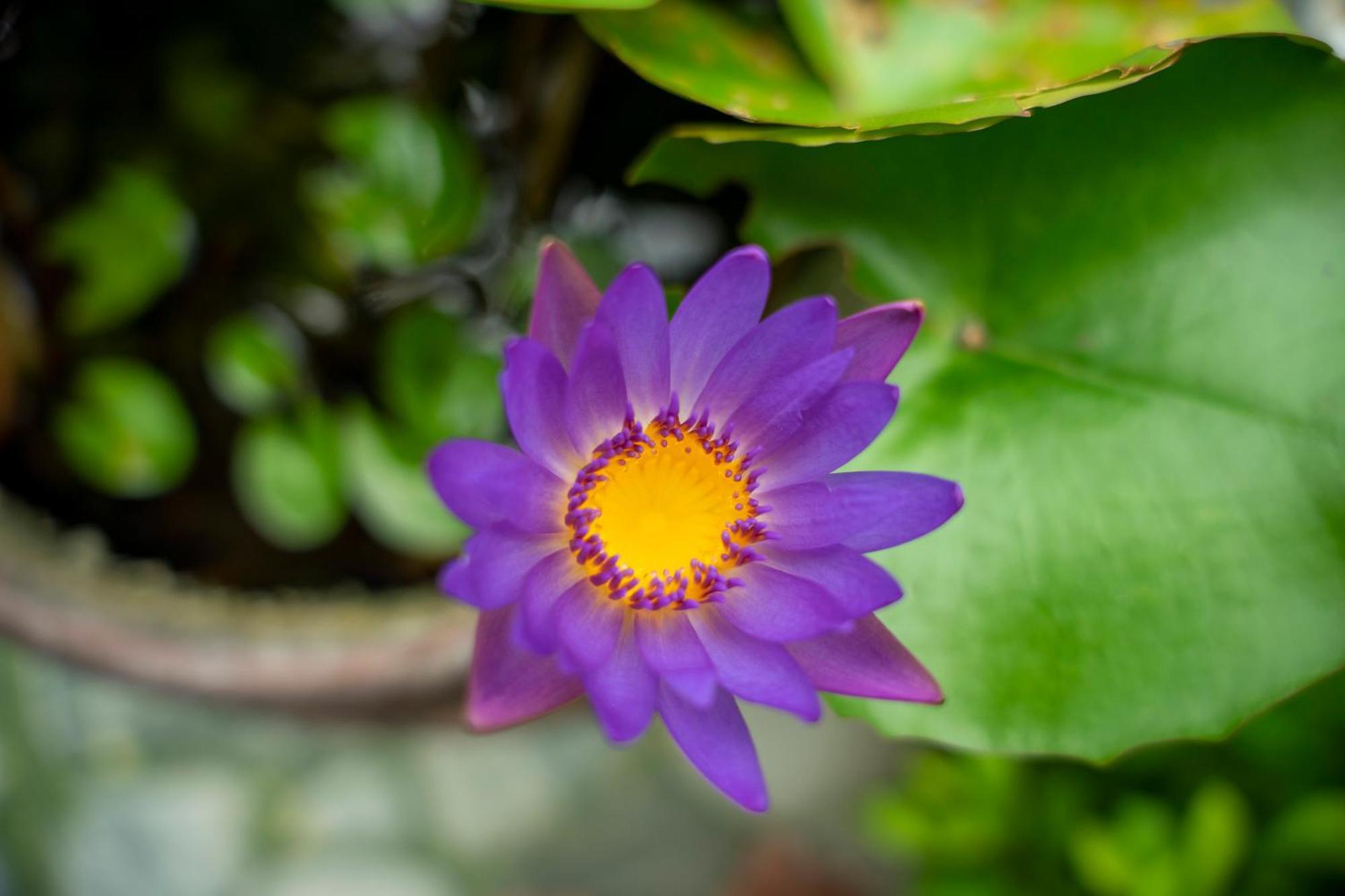 Tam Coc Minh Hung Homestay Ninh Bình Extérieur photo