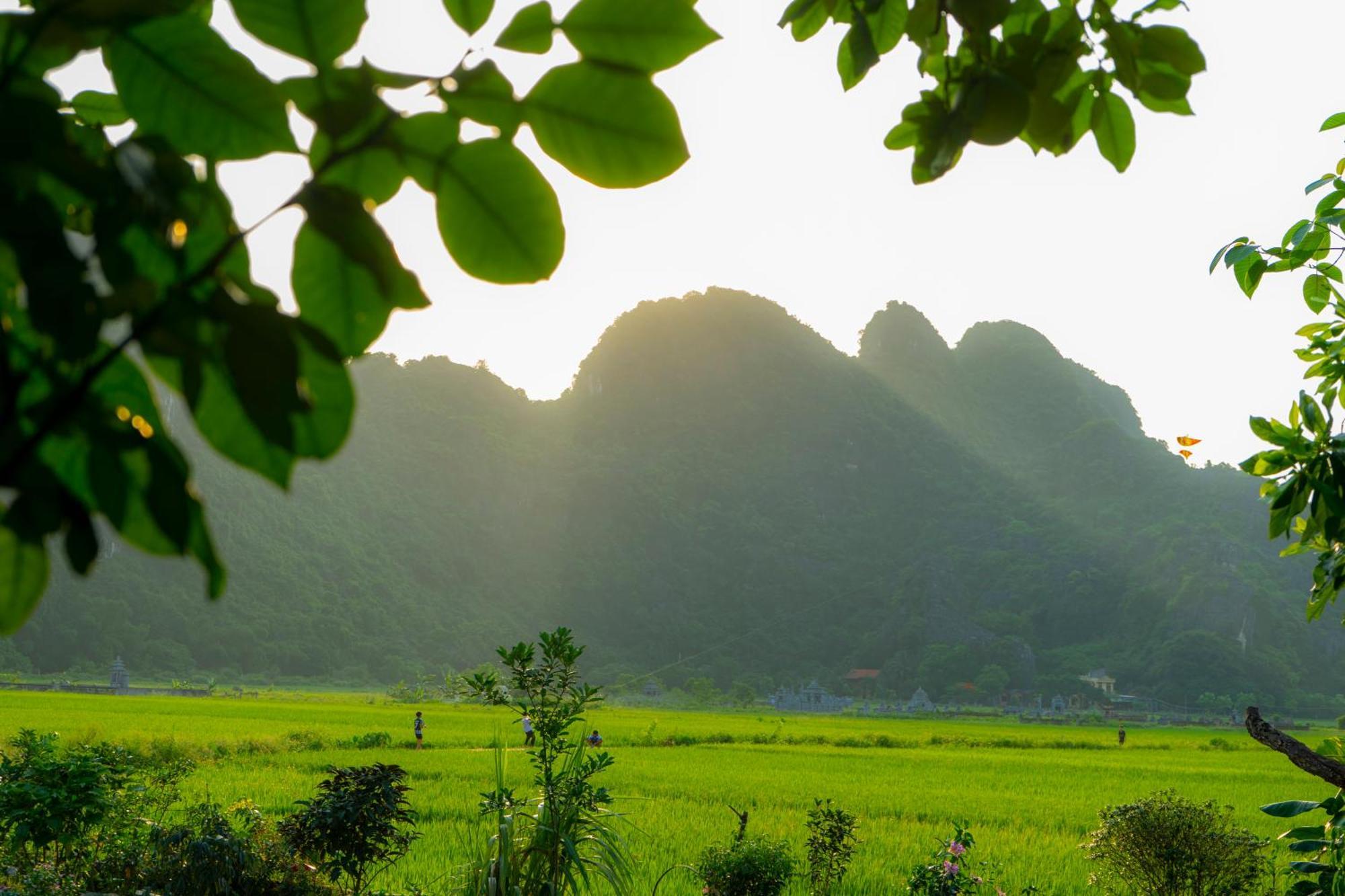 Tam Coc Minh Hung Homestay Ninh Bình Extérieur photo
