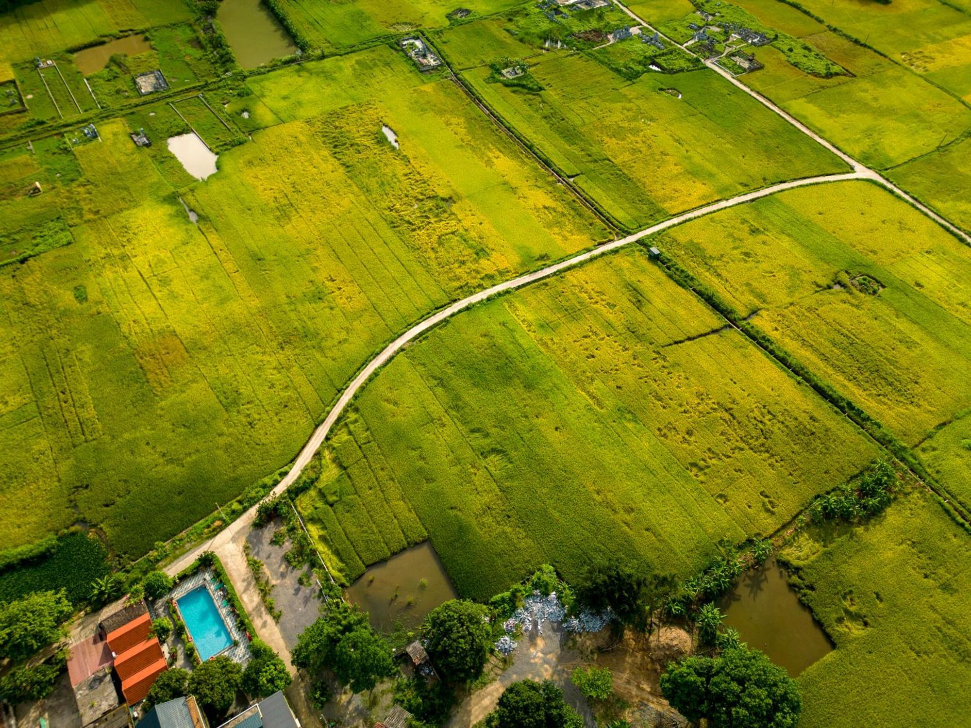 Tam Coc Minh Hung Homestay Ninh Bình Extérieur photo